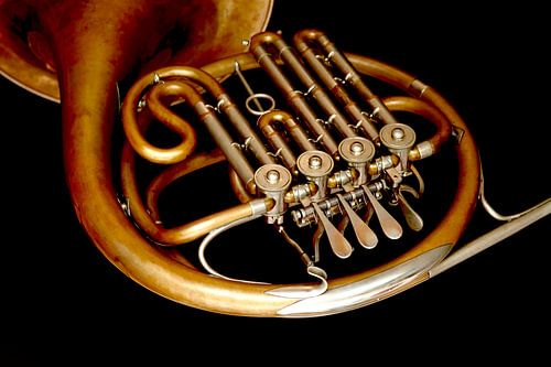 French horn