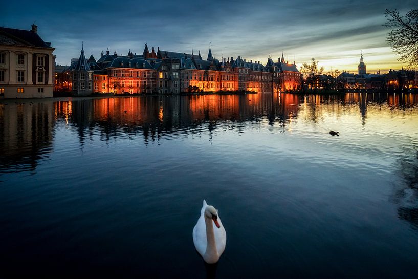 Hofvijver tijdens zonsondergang van Roy Poots