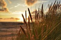 Aan het strand