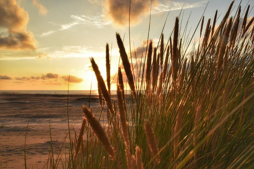 Am Strand von Nienke Bot