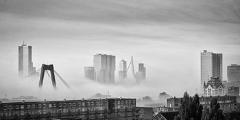 Rotterdam skyline in the fog