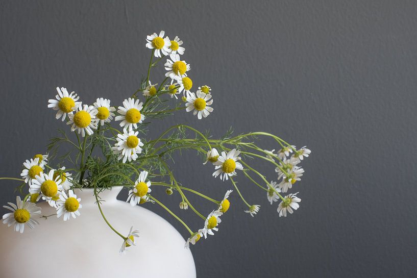Field bouquet by Lisette van Gameren