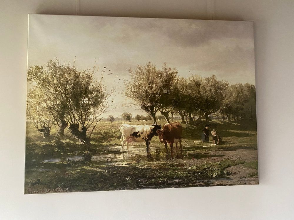 Kühe bei einer Pfütze, Gerard Bilders 