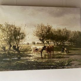 Photo de nos clients: Vaches au bord d'un étang, Gerard Bilders, sur toile