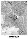 Hoogtekaart Mantgum van STADSKAART thumbnail
