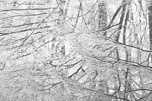 Sneeuw weerspiegeling in plas