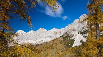 Das Dachstein Gebirge im Herbstfenster von Christa Kramer