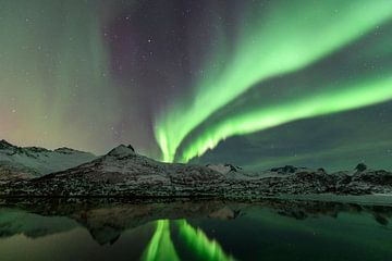 Nordlichter, Aurora Borealis über den Lofoten von Sjoerd van der Wal