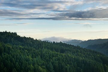 Eindeloze brede luchtfoto van het Zwarte Woud Duitsland van adventure-photos