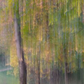 Herbstwald von Karin Berger