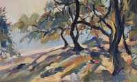 Olive trees at Marmari beach on Paxos