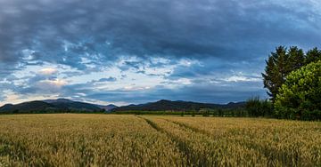 Germany, XXL panorama of black forest mountain landscape behind by adventure-photos