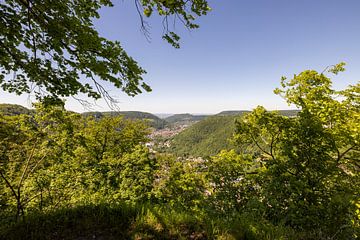 Aussicht am Albrand von Christoph Schaible