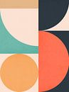 Colors in harmony 12 by Vitor Costa thumbnail