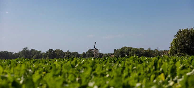 Countryside with mill by Percy's fotografie