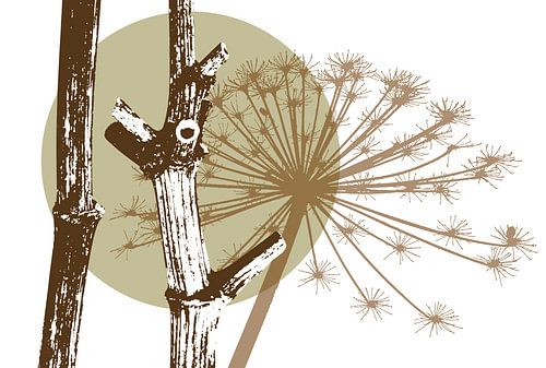Hogweed stem by Jack Schoneveld
