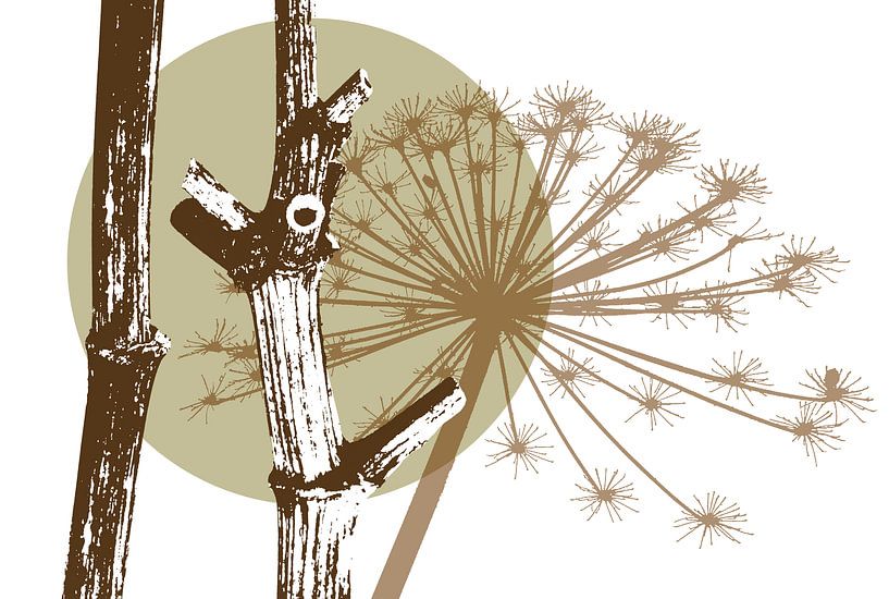 Hogweed stem by Jack Schoneveld