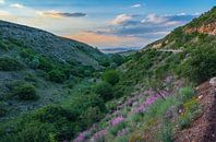 View in the mountains by Roland's Foto's thumbnail