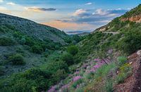 View in the mountains
