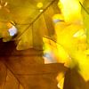 Herfst in blad van Marieke van der Doef