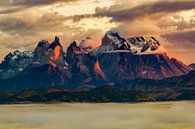 Torres del Paine Massiv in der Morgendämmerung von Dieter Meyrl Miniaturansicht