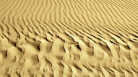 vom Wind gemachte Wellen im Sand von Werner Lehmann