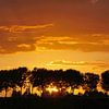 Fel oranje lucht van zonsondergang boven een dijk met bomen van Gert van Santen