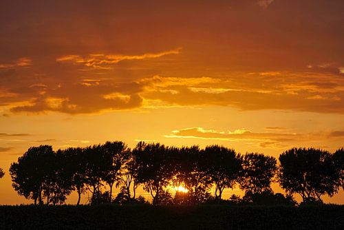 Fel oranje lucht van zonsondergang boven een dijk met bomen van Gert van Santen