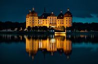 Le château de Moritzburg par Sabine Wagner Aperçu