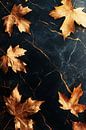 Golden autumn leaves on marble by Imperial Art House thumbnail