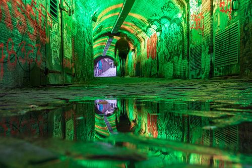 Green corridor, Ganzenmarkt - Oudegracht, Utrecht