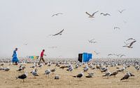 Seagulls And Mist Hang Out On The Beach van Urban Photo Lab thumbnail