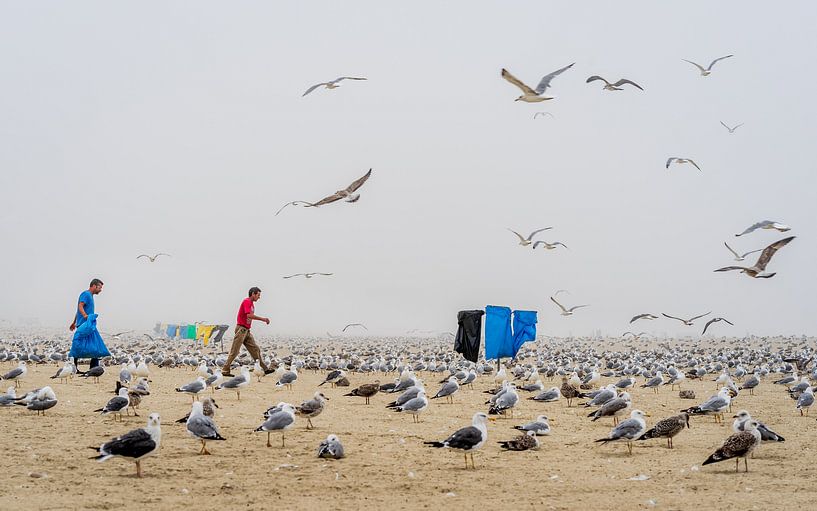 Seagulls And Mist Hang Out On The Beach von Urban Photo Lab