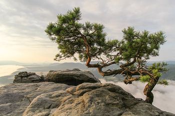 Elbe Sandstone Mountains