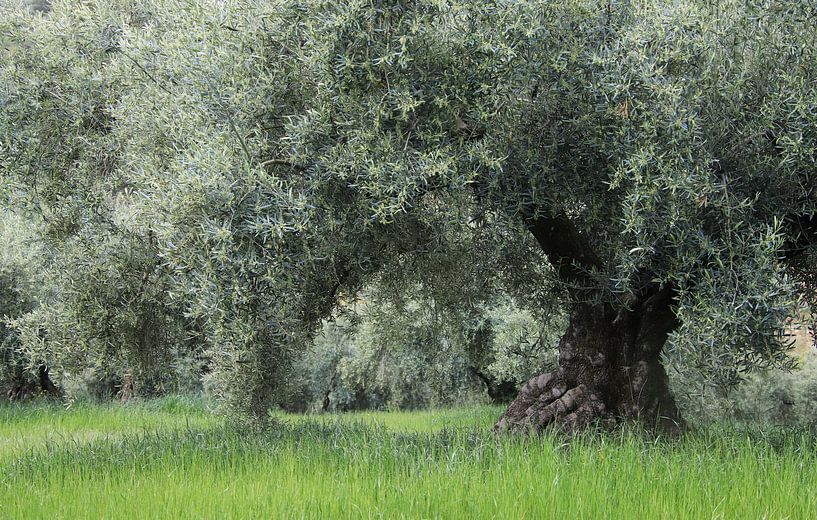 Greener than green. by Jan Katuin