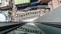 From the top of Rotterdam