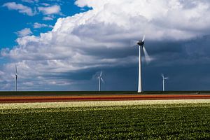 Tulpenveld en windmolens van Rick Kloekke