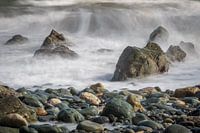 Ein Elefant im Meer