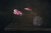 Modernes Stillleben Magnolie von Silvia Thiel Miniaturansicht