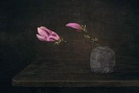 Modern Still Life Magnolia