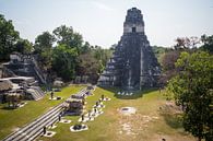 Tikal Guatemala Ruines van oude Mayastad van Michiel Dros thumbnail