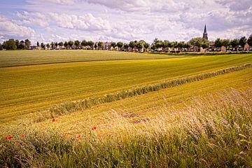 Fichiers sur Rob Boon