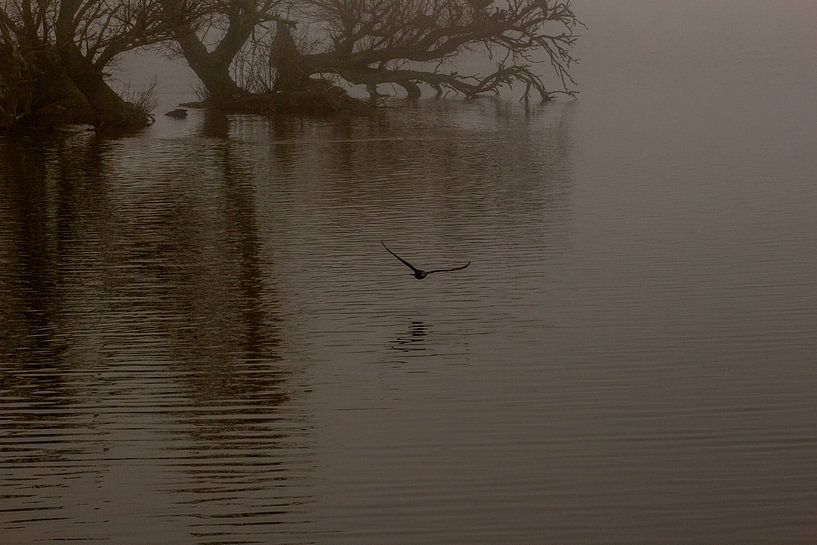 In de mist by Cornelis Hulstein