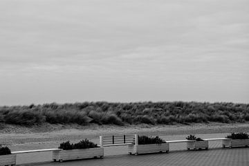 Zee Nieuwpoort van Stef De Vos