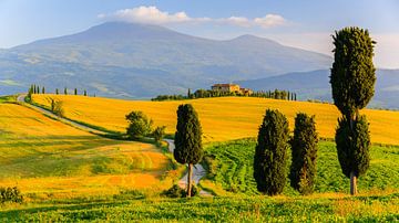 Val d'Orcia, Tuscany, Italy by Henk Meijer Photography