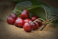 Cerises