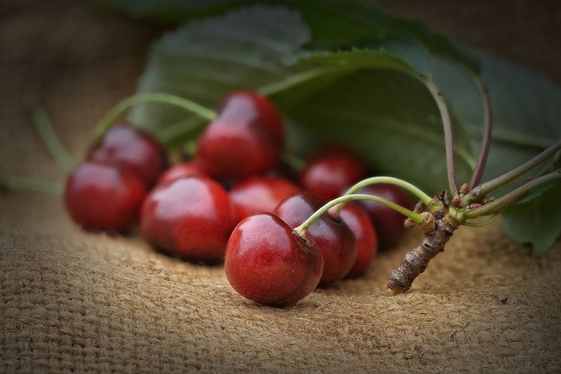 Cherries by Dieter Beselt