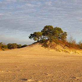 Sand drift by Aalt van Tongeren