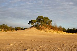 Dérive de sable sur Aalt van Tongeren