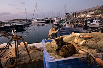 Jaffa - Israël